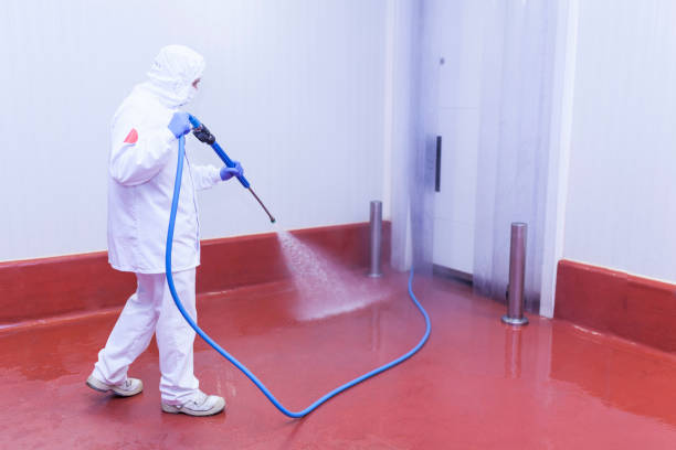 Professional Pressure Washing Services in Aptos Hills Larkin Valley, CA